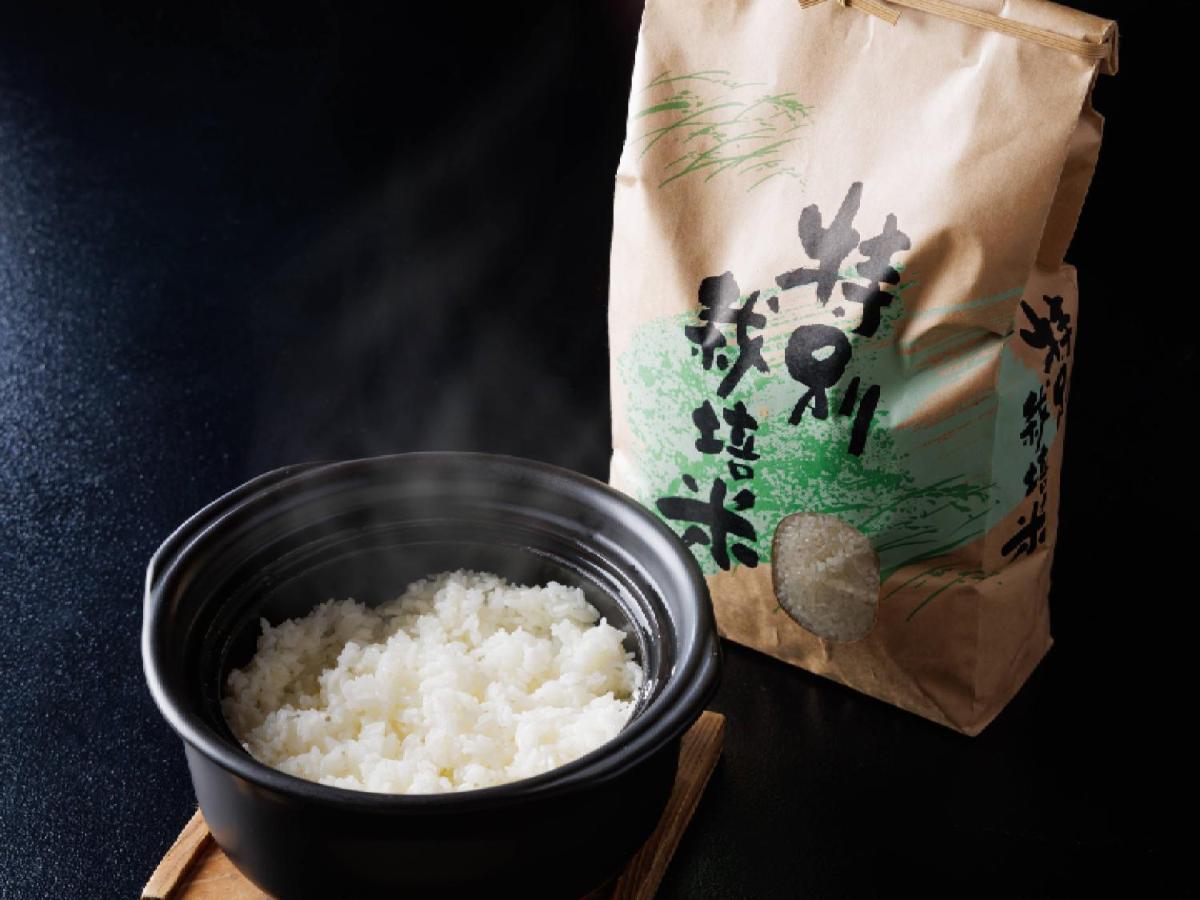 Ryokan Kigusuriya Nantan Bagian luar foto
