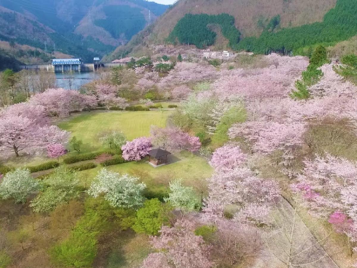 Ryokan Kigusuriya Nantan Bagian luar foto